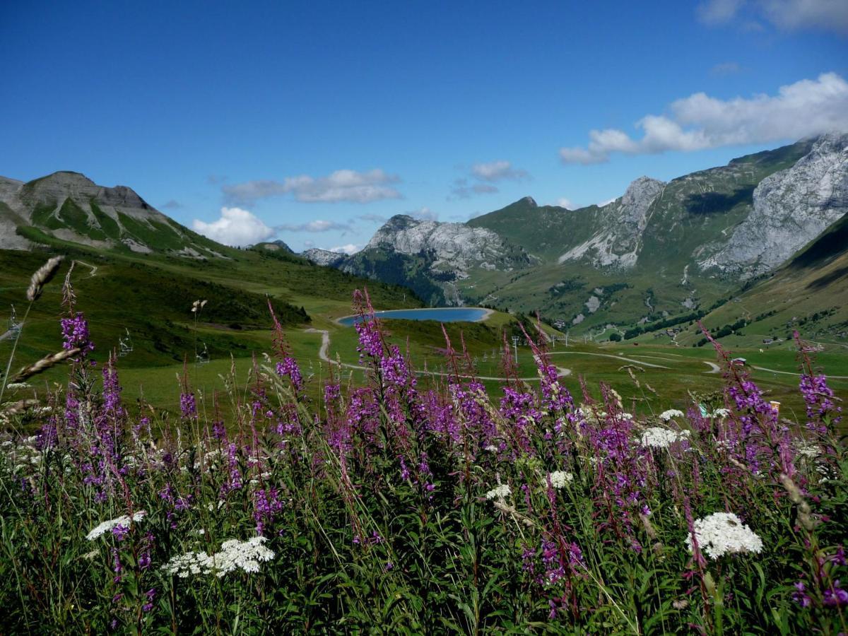 "Chalet Les Aravis" Chalet Et Appartements 大博尔南 外观 照片
