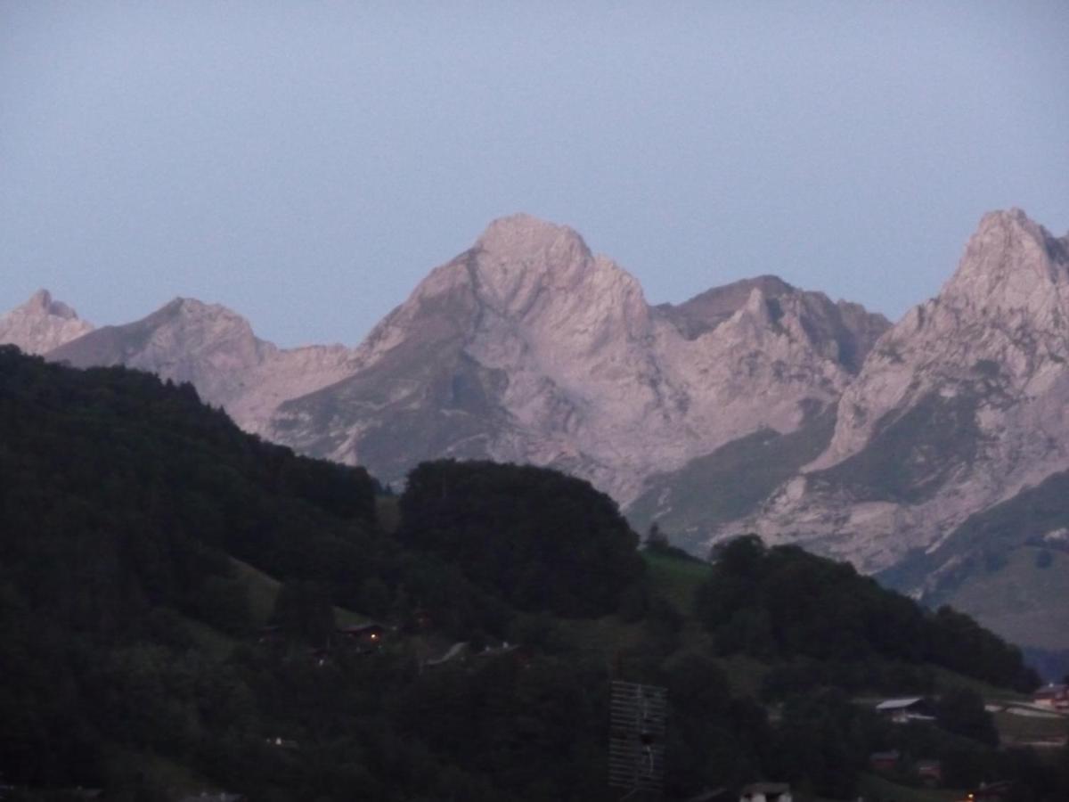"Chalet Les Aravis" Chalet Et Appartements 大博尔南 外观 照片