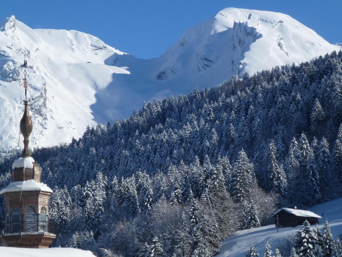 "Chalet Les Aravis" Chalet Et Appartements 大博尔南 外观 照片