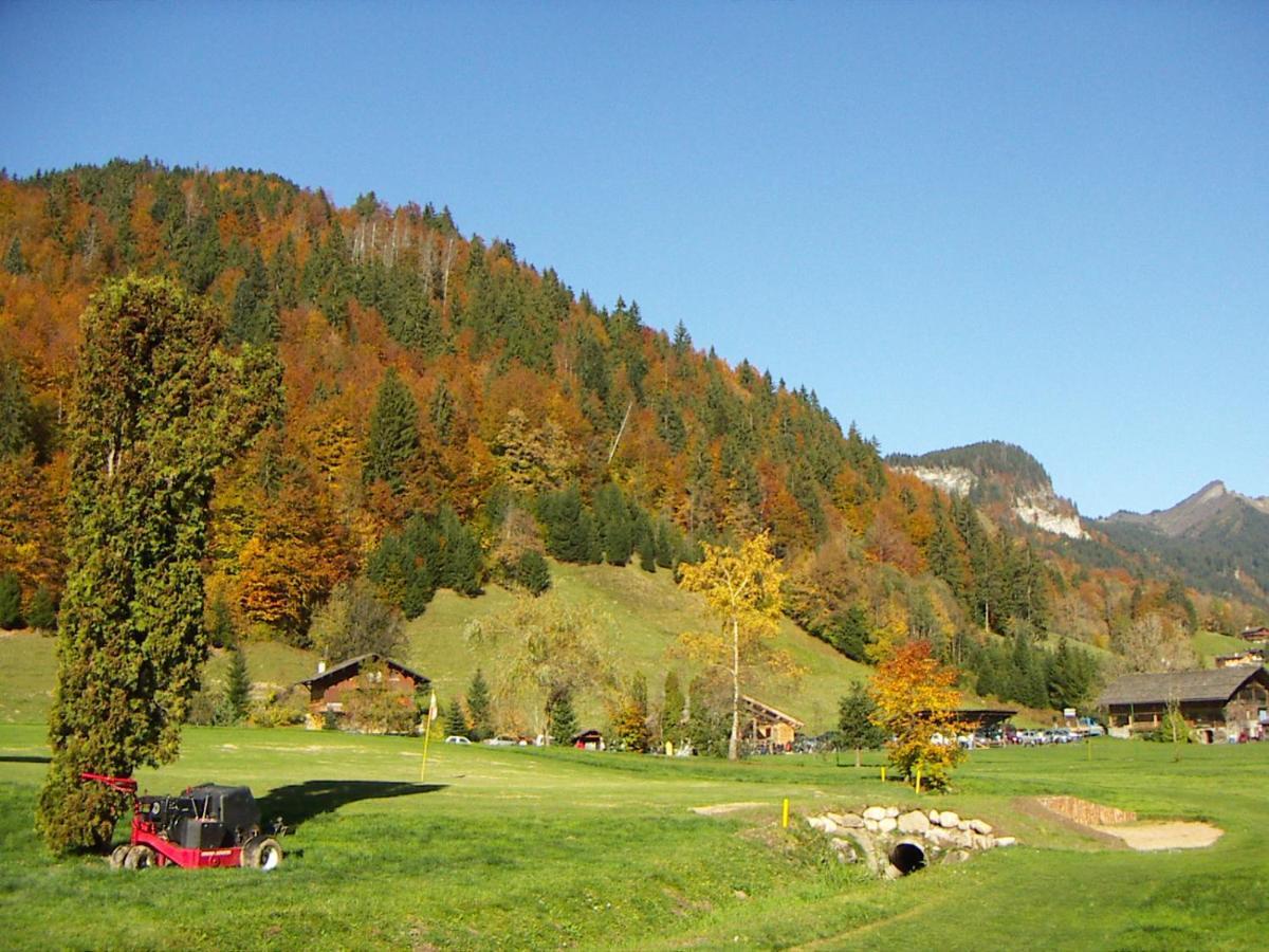 "Chalet Les Aravis" Chalet Et Appartements 大博尔南 外观 照片