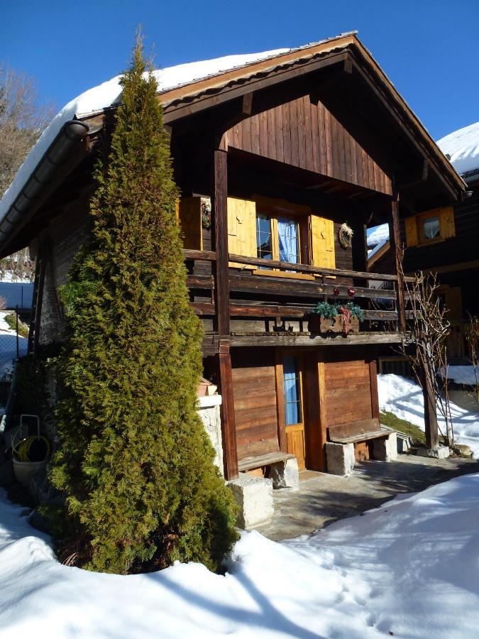 "Chalet Les Aravis" Chalet Et Appartements 大博尔南 外观 照片