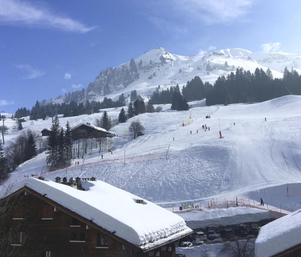 "Chalet Les Aravis" Chalet Et Appartements 大博尔南 外观 照片